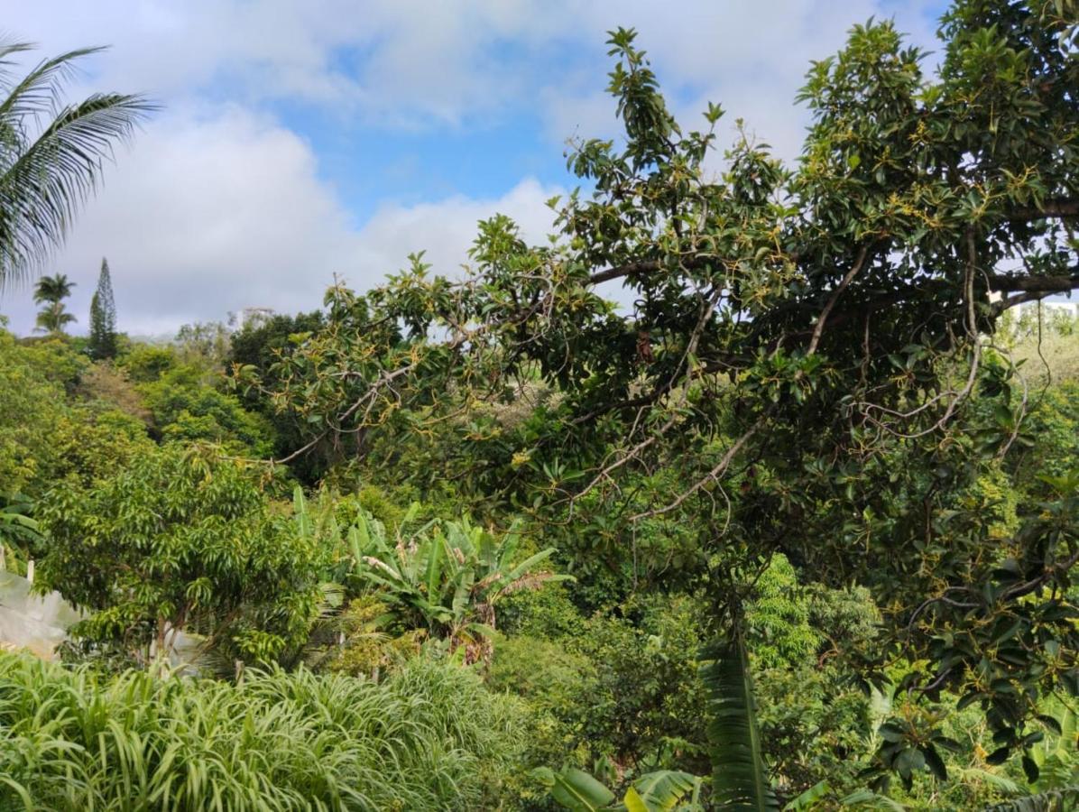 Apartamento Cercado Por Natureza E Diversao Maceio  Luaran gambar