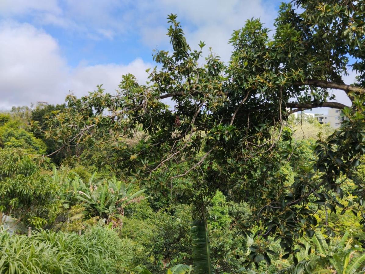 Apartamento Cercado Por Natureza E Diversao Maceio  Luaran gambar